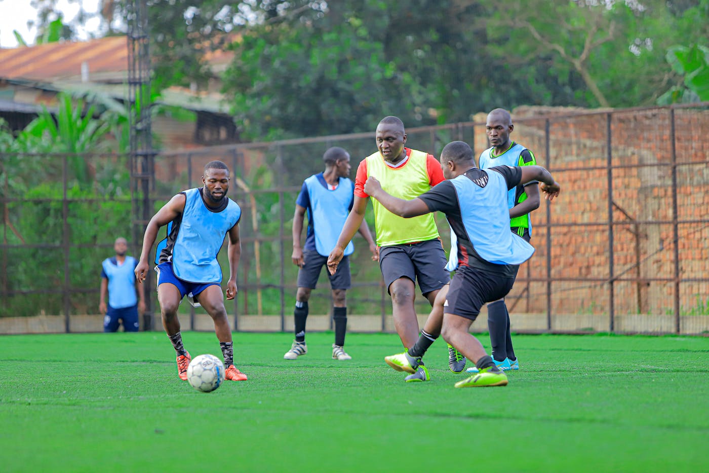 Training - coaching and skills development